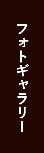 フォトギャラリー