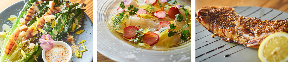 新鮮野菜とお魚