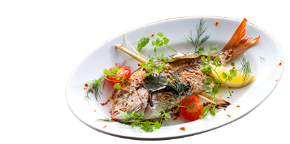 Bistro Cuisine with Japanese ingredents, with Craft Beer